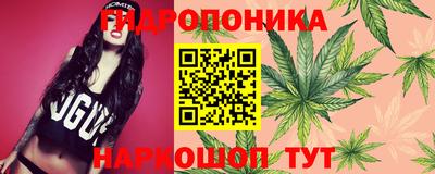 ECSTASY Бердск